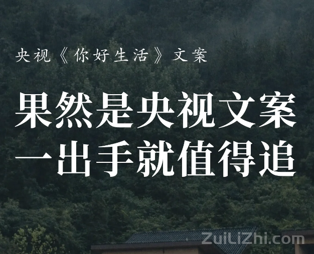 分享15条精彩语录，一起感受神级文案的魅力