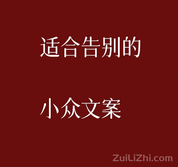 小众高质量文案 适合分别的文案~
