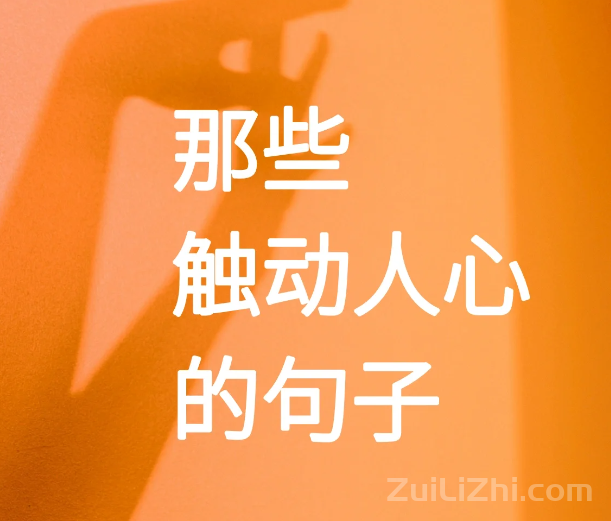 那些触动人心的句子,每一句说到心坎里❤️