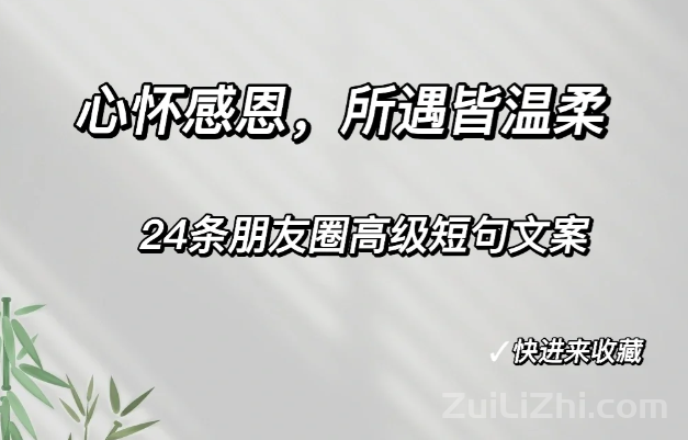 24条朋友圈高级短句文案：心怀感恩，所遇都温柔宽大 