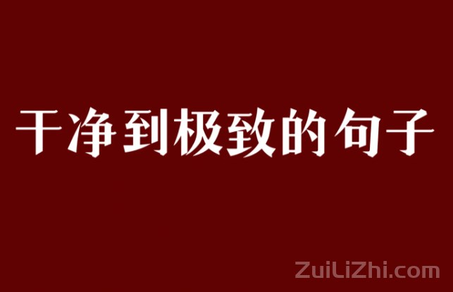 热爱生活的短句文案